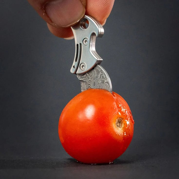 COiN: Quarter-Sized Cutter