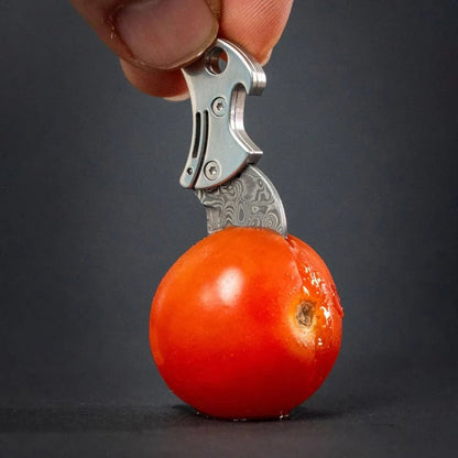 COiN: Quarter-Sized Cutter