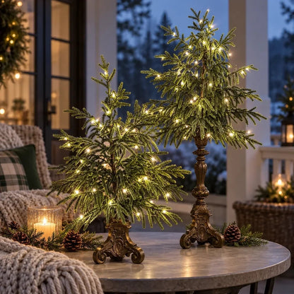 🎄🌙Vintage Lighted Norfolk Pine Trees