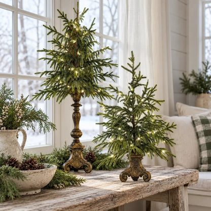 🎄🌙Vintage Lighted Norfolk Pine Trees