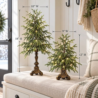 🎄🌙Vintage Lighted Norfolk Pine Trees