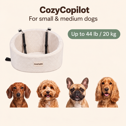 Elevated Dog Car Seat with Built-In Safety Harness