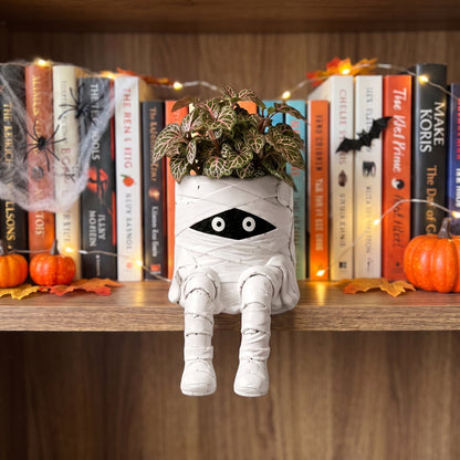 The Quirky Ledge Friend: Handcrafted Shelf Bloom Pot