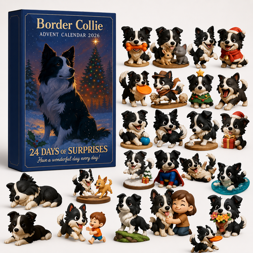 🐾 2026 Border Collie Advent Calendar 🎁