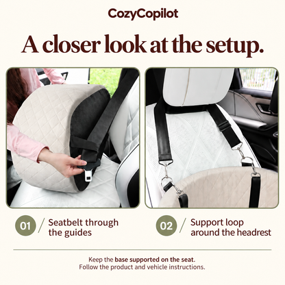 Elevated Dog Car Seat with Built-In Safety Harness