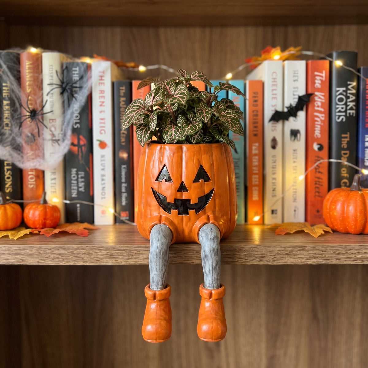 The Quirky Ledge Friend: Handcrafted Shelf Bloom Pot