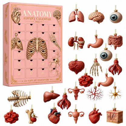 Anolumi Anatomy Advent Calendar box with its 24 anatomy ornaments