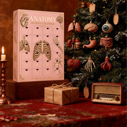 Anatomy advent calendar beside a Christmas tree decorated with organ ornaments