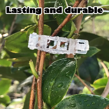 100 Counts Plant Support Clips, Upright Growth Support for Tomato & Grape Vines