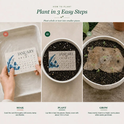 ✨🏆early Holiday Sale 49% Off🌱eco-friendly Plantable “timeless” Seed Calendar 2027