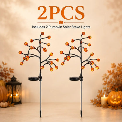 Solar Pumpkin Pathway Lights
